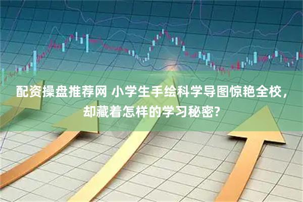 配资操盘推荐网 小学生手绘科学导图惊艳全校，却藏着怎样的学习秘密?